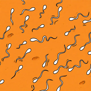 10 Myths About Sperm