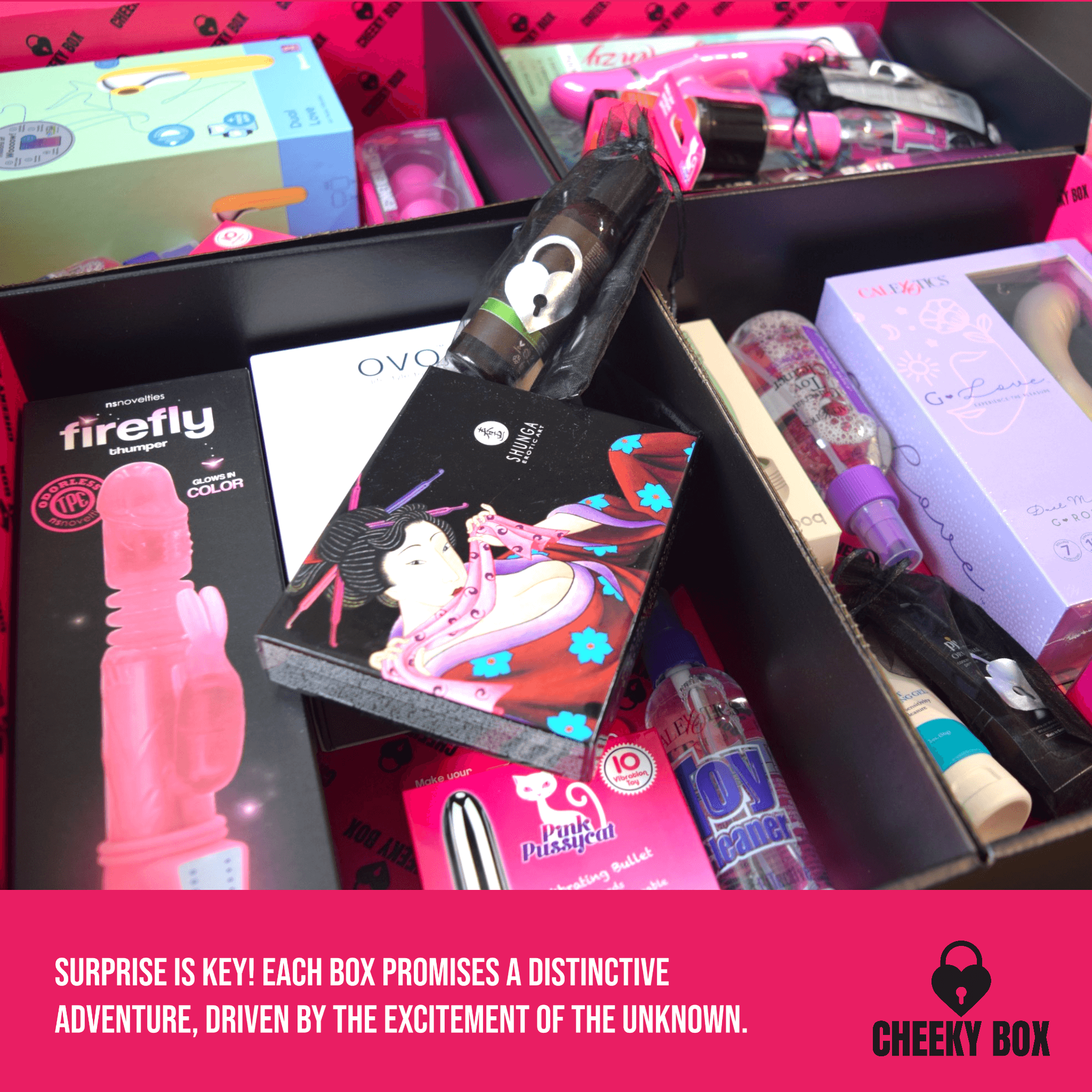 Cheeky Box Canada All About Her Women s Sex Toys Mystery Box