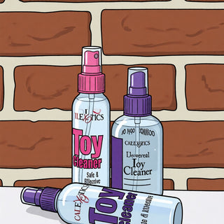Cheeky Box Canada - Sex Toys Cleaner